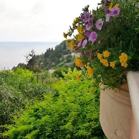 Byronas Apartments- Maisonette With Sea-view *